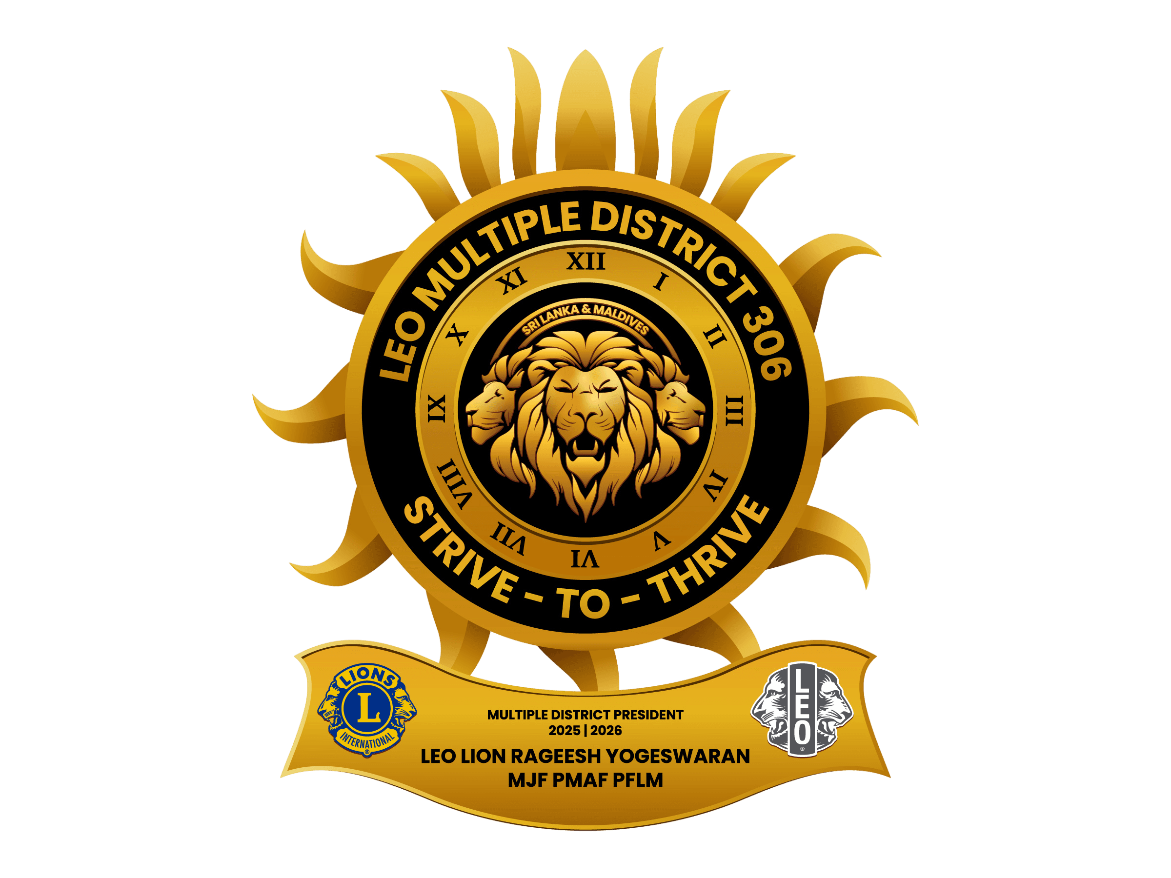 Multiple District President